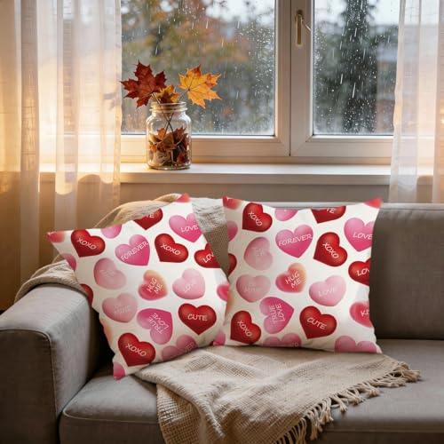 Valentine Throw Pillow Covers 18x18 Set of 2 Soft Polyester Heart Print