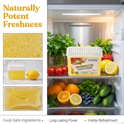 AUGKOI Diatomaceous Earth Fridge Deodorizer Gel, 5.29 oz
