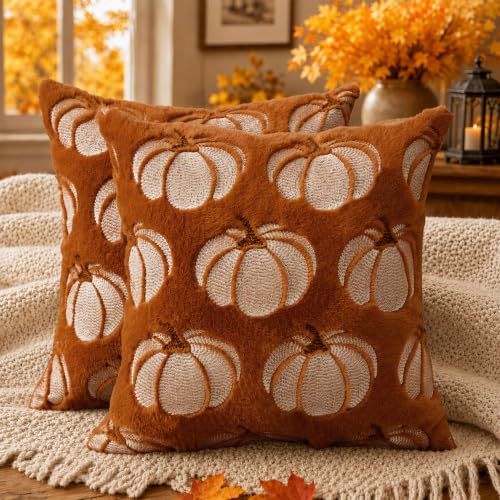DFXSZ 18x18 Rust Pumpkin Fall Pillow Covers Set of 2 Plush Autumn Home Decor