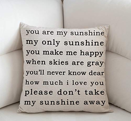 You Are My Sunshine Farmhouse Throw Pillow Cover 18x18, Sw-013