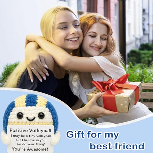 Handmade Crochet Volleyball Emotional Support Gift for Players