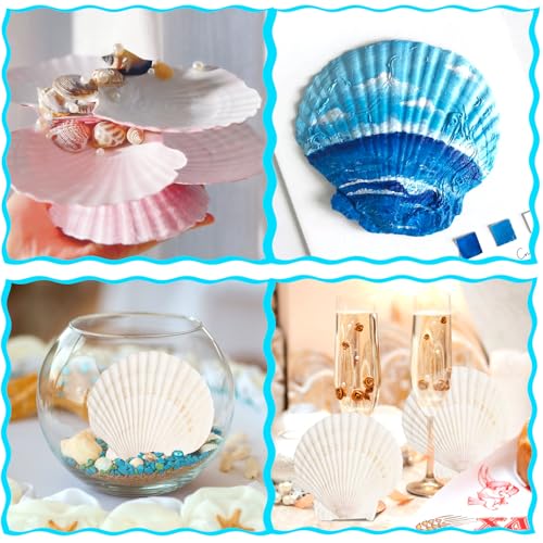 8 PCS Natural Scallop Seashells for Crafts, 4-5 Inch Large Clam Shells