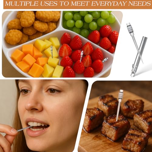 2PCS Portable Titanium Toothpicks with Stainless Steel Holder