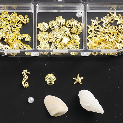 12 Grids Summer Beach Nail Charms 3D Seashell Starfish Pearls and Gold Rhinestones