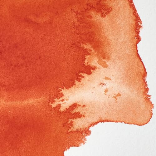 Winsor & Newton Professional Watercolor Paint, 14ml Tube, Transparent Orange