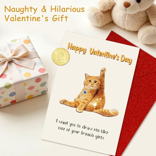 Funny Valentine's Day Card for Him - Naughty Cat Humor