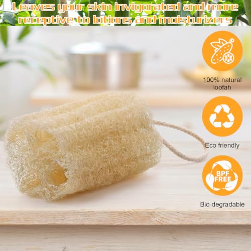 Natural Loofah Sponge 2-Pack Organic Exfoliating Body Scrubber for Shower