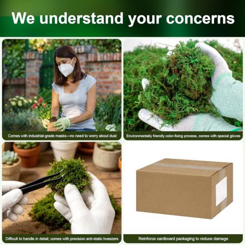 10oz Artificial Green Moss for Crafts and Terrariums with Tool Kit