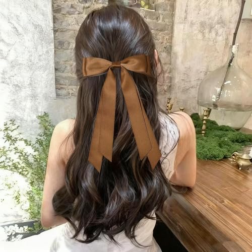Satin Hair Bows Clips for Women and Girls, Blue and Brown Hair Ribbons, 2PCS