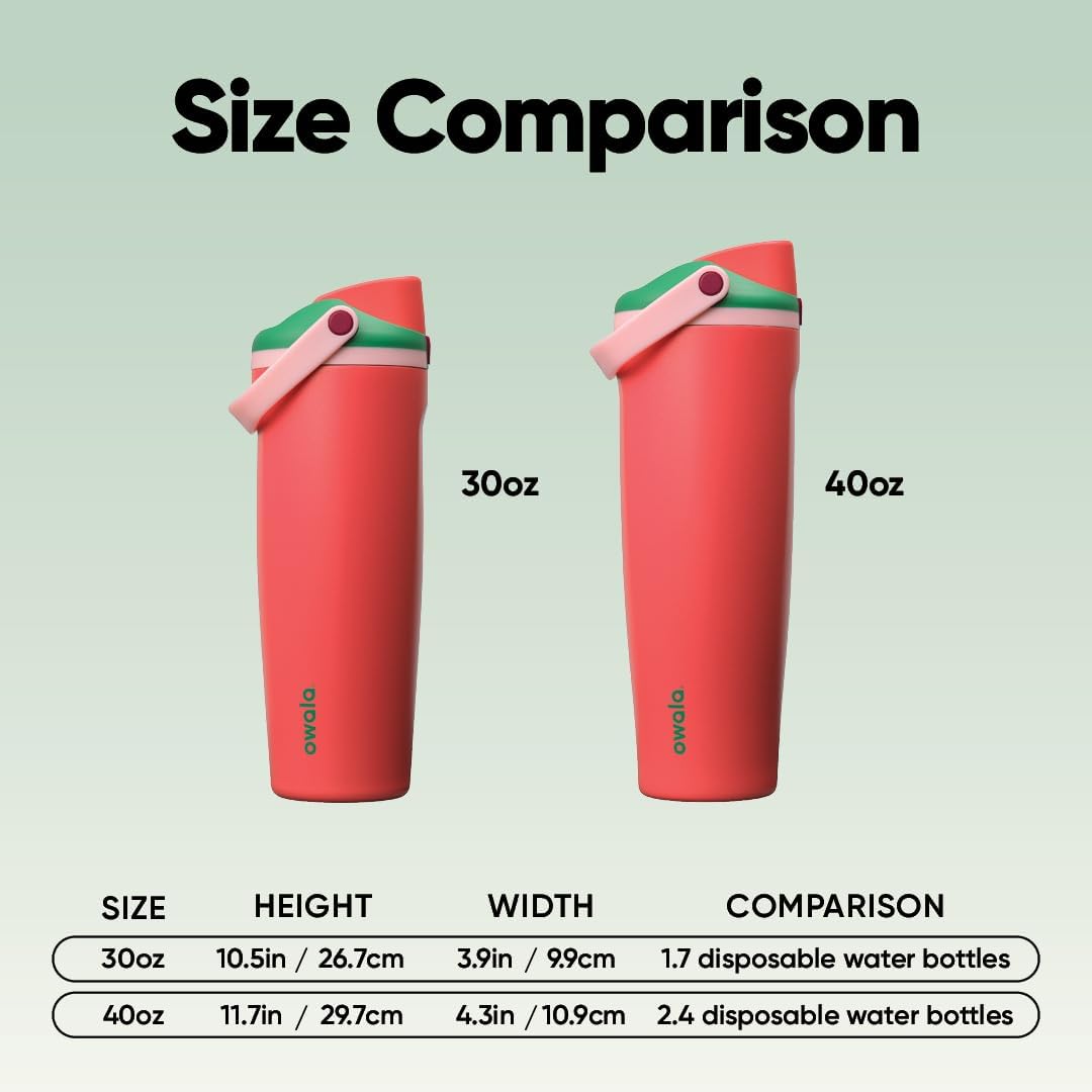 Owala FreeSip Sway Insulated Stainless Steel Water Bottle - 30oz, Two-Way Spout, BPA Free, Strawberry Fields