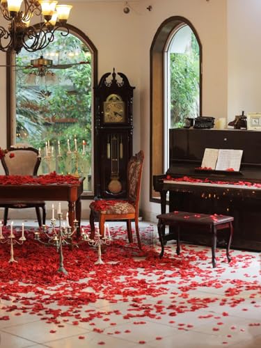 100g Dried Red Rose Petals for Weddings, Crafts & Baths