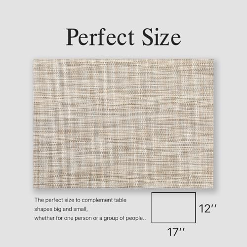 Onebento Woven Vinyl Placemats - Caramel, Set of 4, 17x12 inch Table Mats