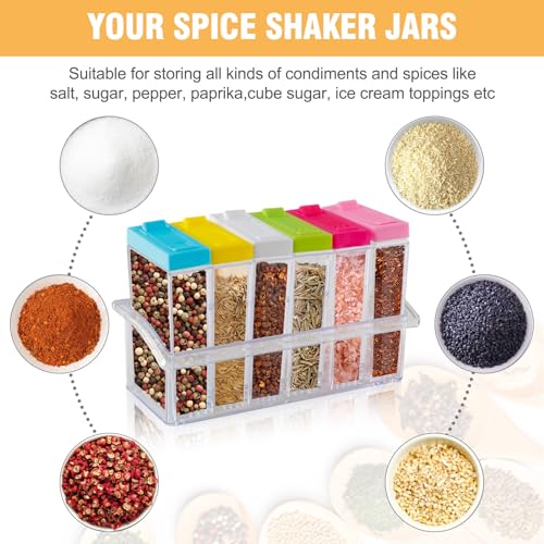 6-Piece Spice Shaker Set with Tray - Seasoning Storage Containers
