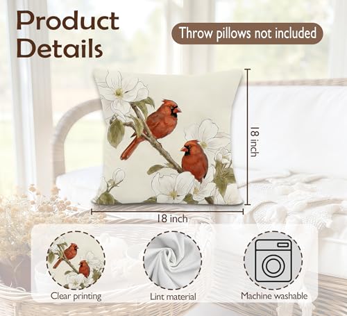 Vintage Cardinal Bird Floral Throw Pillow Cover 18x18 - Bird-2