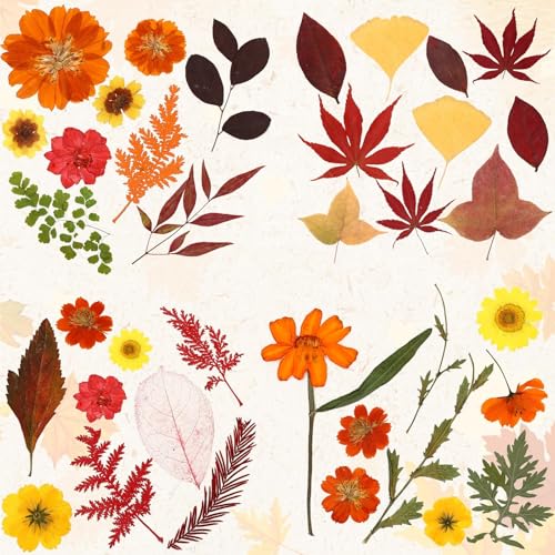 Fall Dried Pressed Flowers and Leaves for DIY Crafts - 72 Pieces
