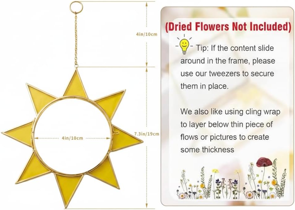 Sunburst Pressed Flower Frames - Decorative Double Glass Wall Art | Horizontal Display for Dried Flowers, Gold Finish