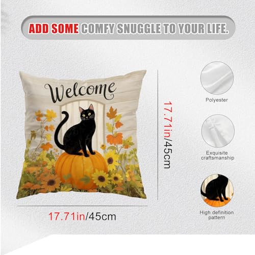 Set of 2 Fall Black Cat Pumpkin Pillow Covers - 18x18 Inch Double-Sided