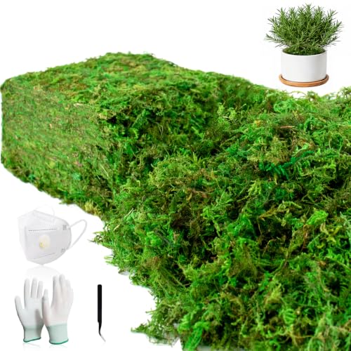 10oz Artificial Green Moss for Crafts and Terrariums with Tool Kit