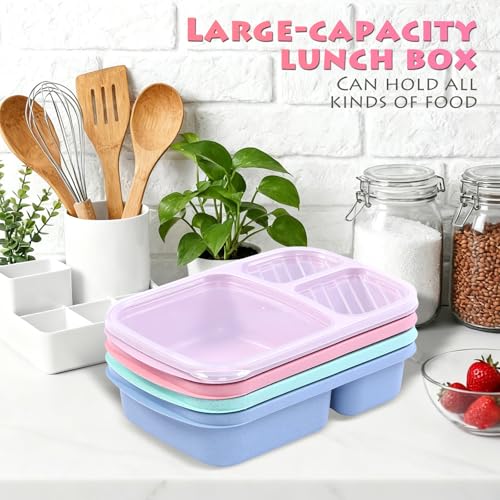 4 Pack Reusable 3-Compartment Lunch Box Set - Light Color