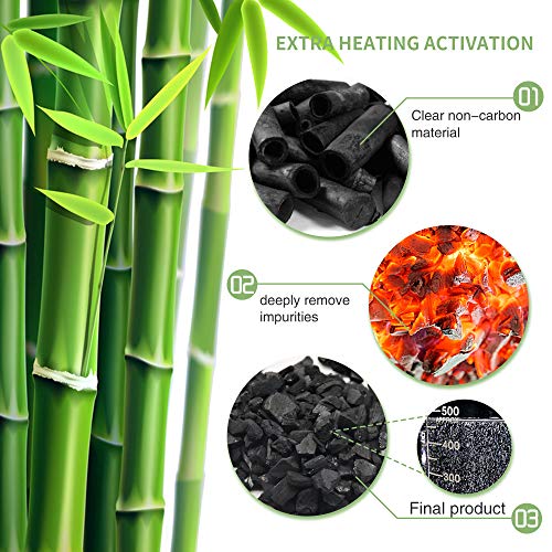 Vitscan Bamboo Charcoal Air Purifying Bags - 6 Pack Natural Deodorizer