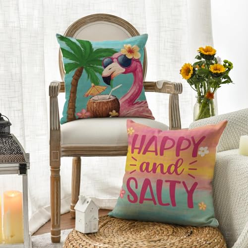 AVOIN colorlife Summer Flamingo Throw Pillow Covers 20x20 Set of 4
