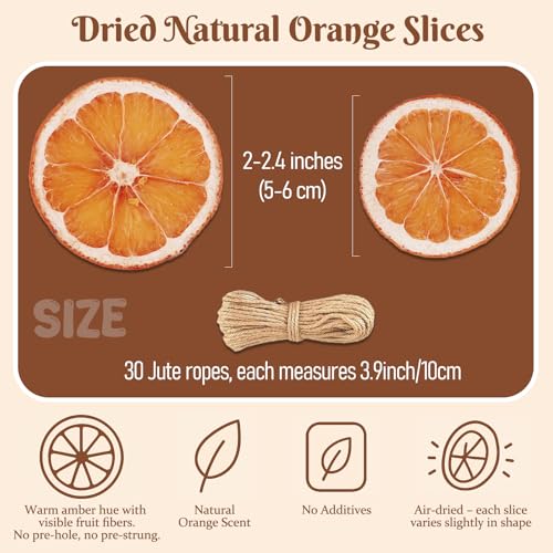 30pcs Natural Dried Orange Slices with Twine Strings for Crafts