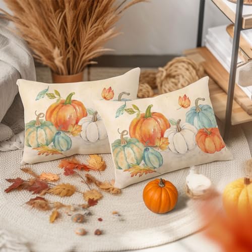 RABUSOFA Fall Lumbar Pillow Covers 12x20, Set of 2 Pumpkin Farmhouse Decor