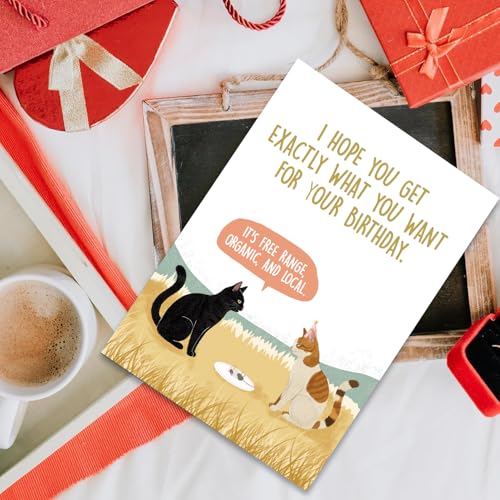 Funny Birthday Card for Cat Lovers - Blank Inside, 8x5.3in