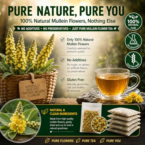 WOTIHA Mullein Tea Bags 65 Count - Natural Herbal Lung Support & Respiratory Tea