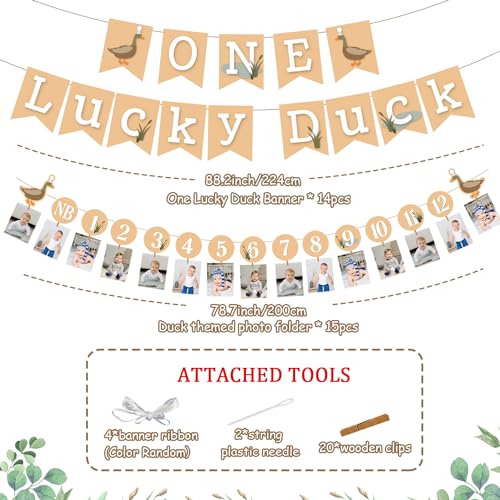 One Lucky Duck Birthday Party Decorations Set for 1st Birthday