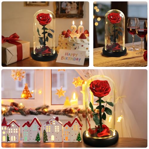LED Preserved Rose Flower Gift - Christmas Rose with Warm Lights, Glass Dome, Forever Flowers for Women