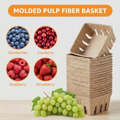 15 Pack Compostable Berry Baskets - Small Vented Produce Storage