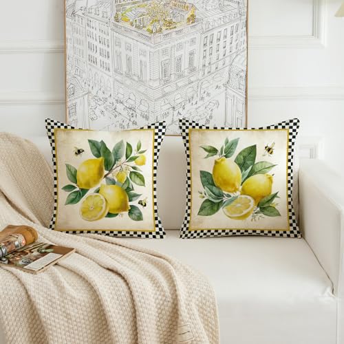 Lemon Decorative Pillow Covers 18x18 Inch Set of 2 - Black Plaid