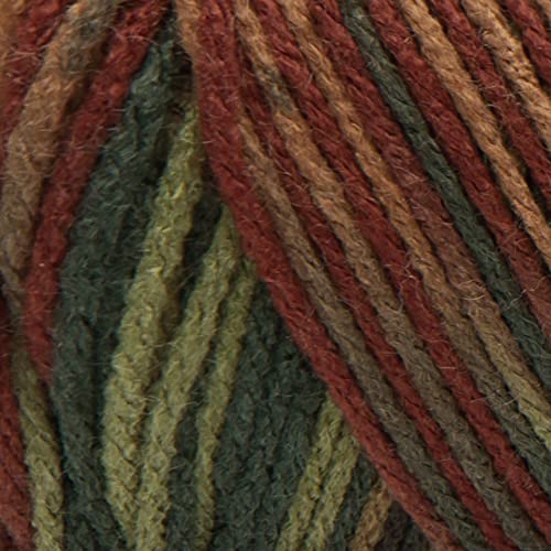 Red Heart Super Saver Print Yarn - Fall Color, Medium Weight, 236 Yards