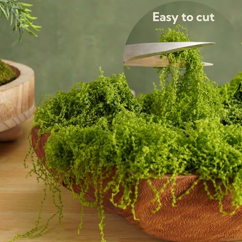 BYHER 7OZ Fake Moss for Indoor Plants & Crafts - Lifelike Greenery