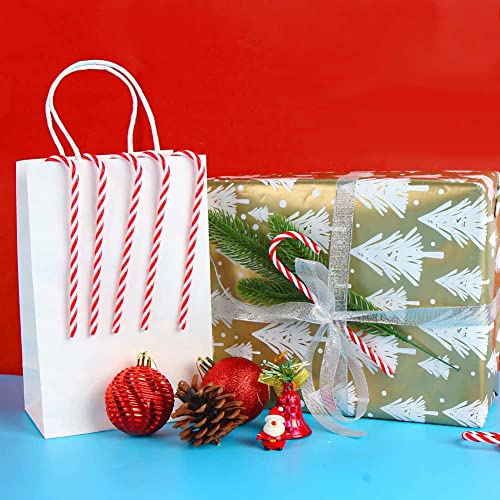 12 Red and White Plastic Candy Cane Christmas Ornaments - Holiday Tree Decor