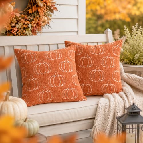 Auomily Fall Pumpkin Chenille Pillow Covers, 18x18, Set of 2, Orange
