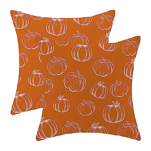 Fall Pillow Covers 18"x18" Set of 2 - Pumpkin Design for Autumn Decor