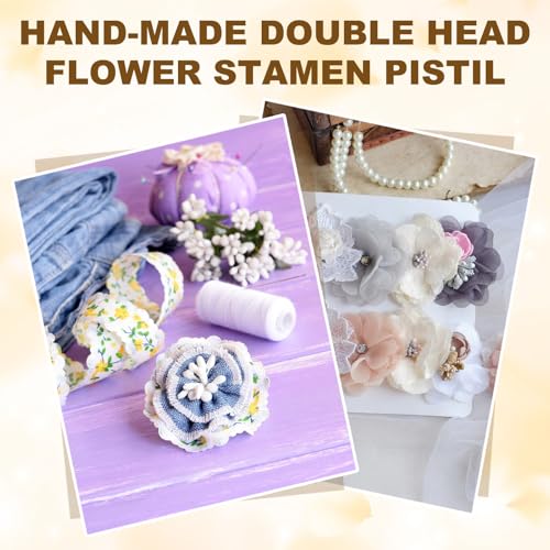 Dark Pink Double-Head Flower Stamen Pistil 2.5mm 680pcs for DIY Crafts & Decorations