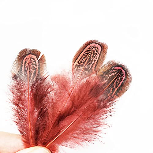 Natural Pheasant Plumage Feathers - 50 pcs, 2-3 Inches, Red