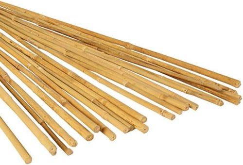 GROW!T Bamboo Stakes - 4 Foot Natural Support for Plants | Pack of 25, Tan Color