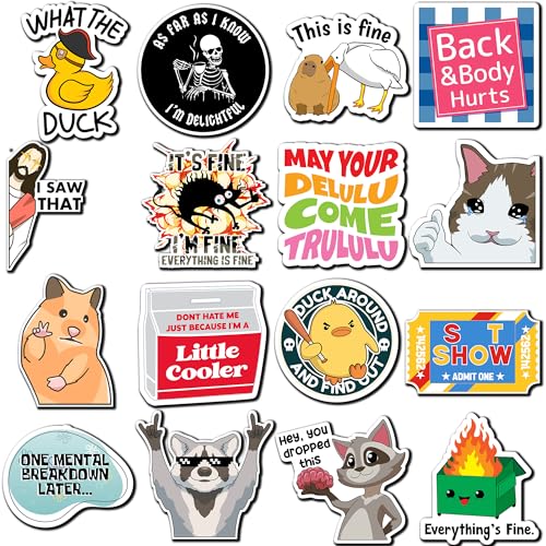 Debinolo Funny Fridge Magnets - 16 Piece Meme Set for Kitchen and Office