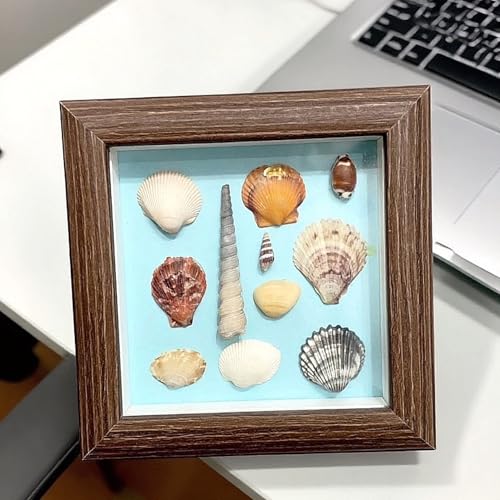 Walnut 4x4 Shadow Box Picture Frame - Solid Wood for Memorabilia