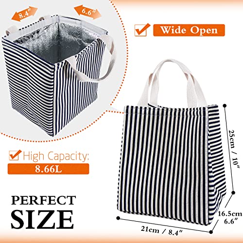 Daixers Insulated Lunch Bag - Reusable Thermal Lunch Tote, Striped Blue