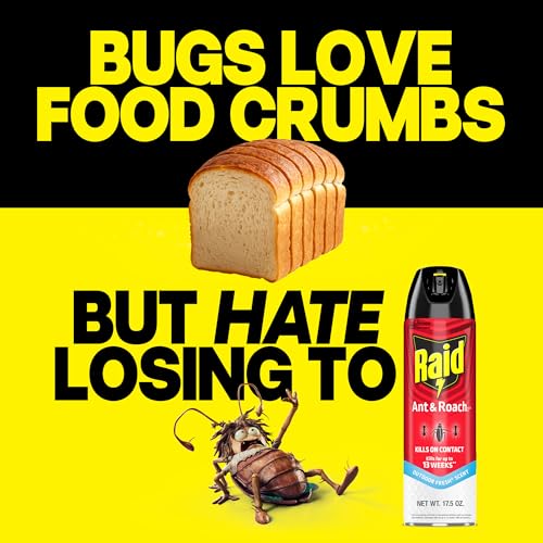 Raid Ant & Roach Killer Spray, Outdoor Fresh Scent, 17.5 oz - Kills for 13 Weeks