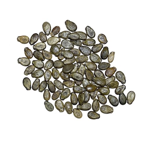 Sugar Baby Watermelon Seeds - Heirloom, Non-GMO, 1 Pack