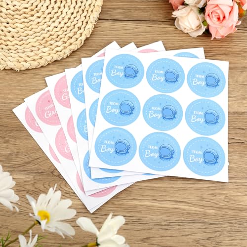 54pcs Gender Reveal Stickers - Team Boy or Girl Round Stickers