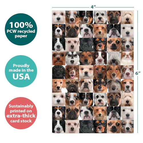 Tree-Free Greeting Cards - Whimsical Dog Collage - 12 Pack