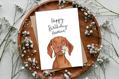 Hungarian Vizsla Birthday Card - Funny Dog Lover Card