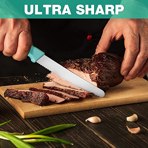 Multicolor HAUSHOF 4-Piece Serrated Steak Knife Set - Premium Stainless Steel with Gift Box